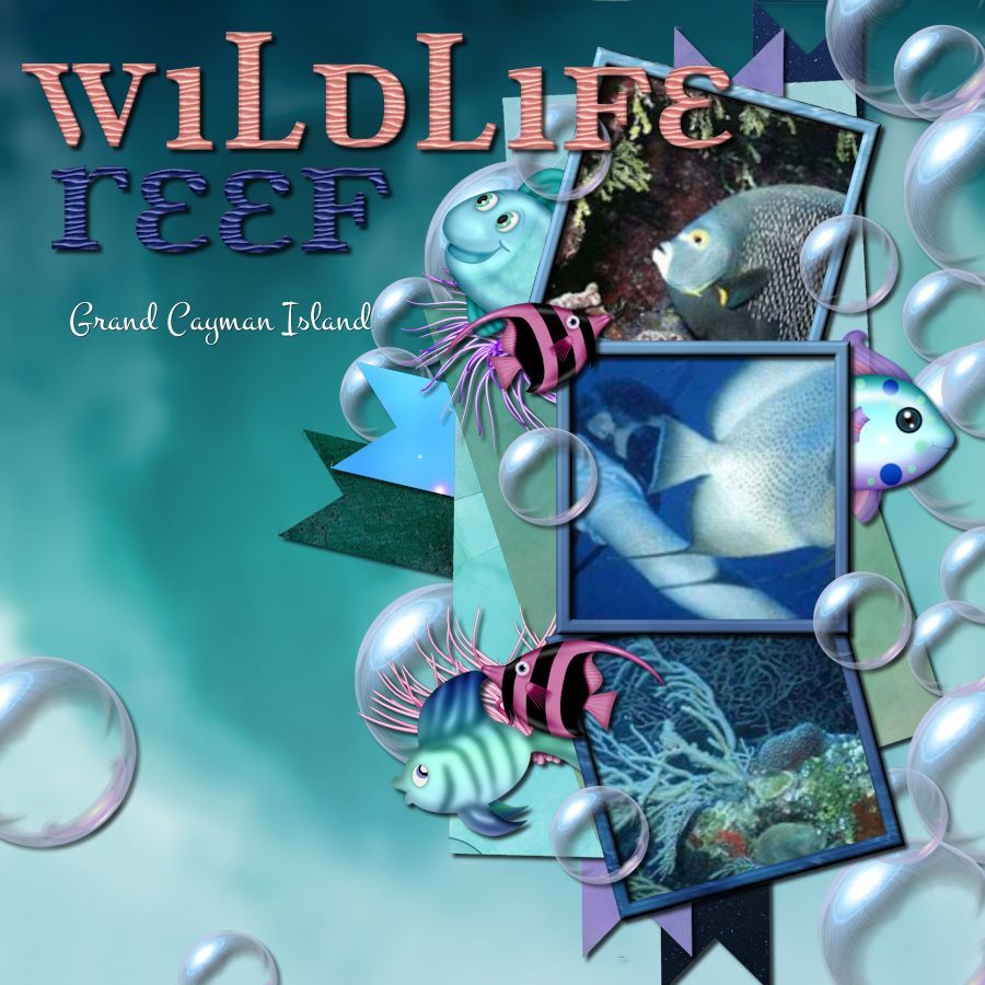 Wildlife Reef