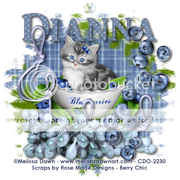Blueberry - Dianna photo Blueberry_03032016Dianna.png