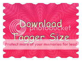 Download Tagger Size
