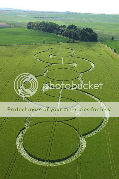 DNA crop circle Pictures, Images and Photos