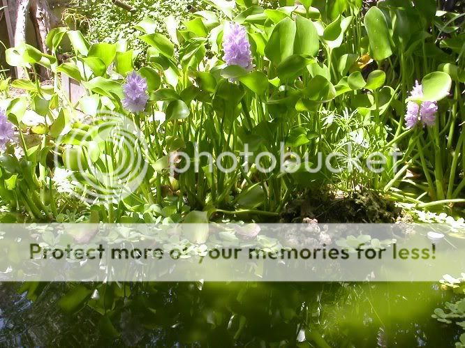 DSCN1316.jpg