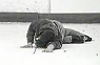 exhausted