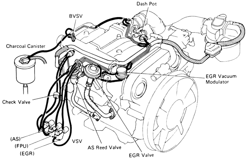 Toyota 3VZ-E-Inspired Vacuum Hose Information Decal
