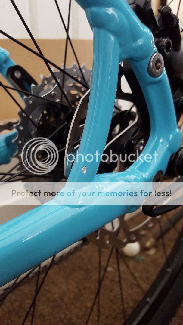 trex touch up paint bike