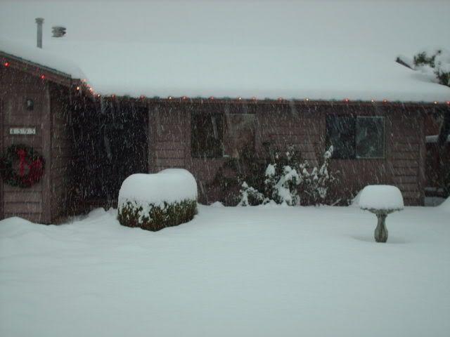 snow046.jpg