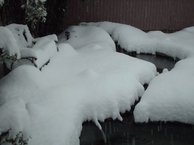 snow049.jpg
