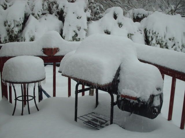 snow050.jpg