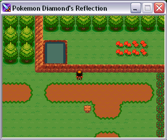 Pokemon Diamond's Reflection