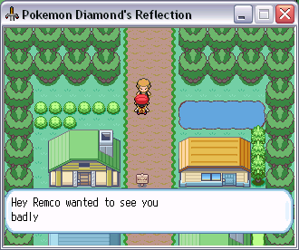 Pokemon Diamond's Reflection