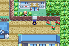 [PokeCommunity.com] Pokemon maleckite