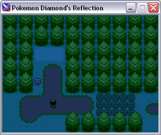 Pokemon Diamond's Reflection