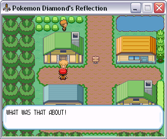 Pokemon Diamond's Reflection